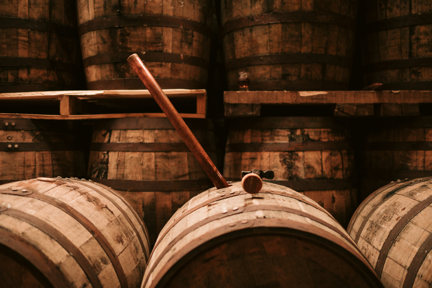 Single Barrel Experience